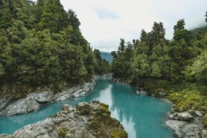 New Zealand Visitor Visa