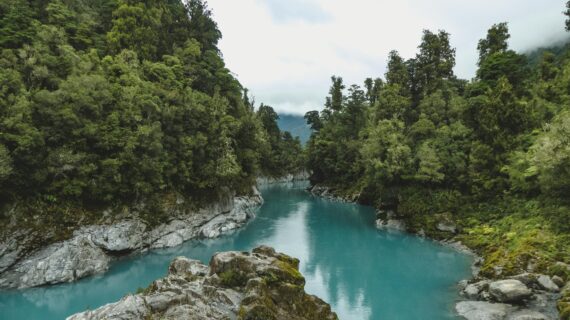 New Zealand Tourist